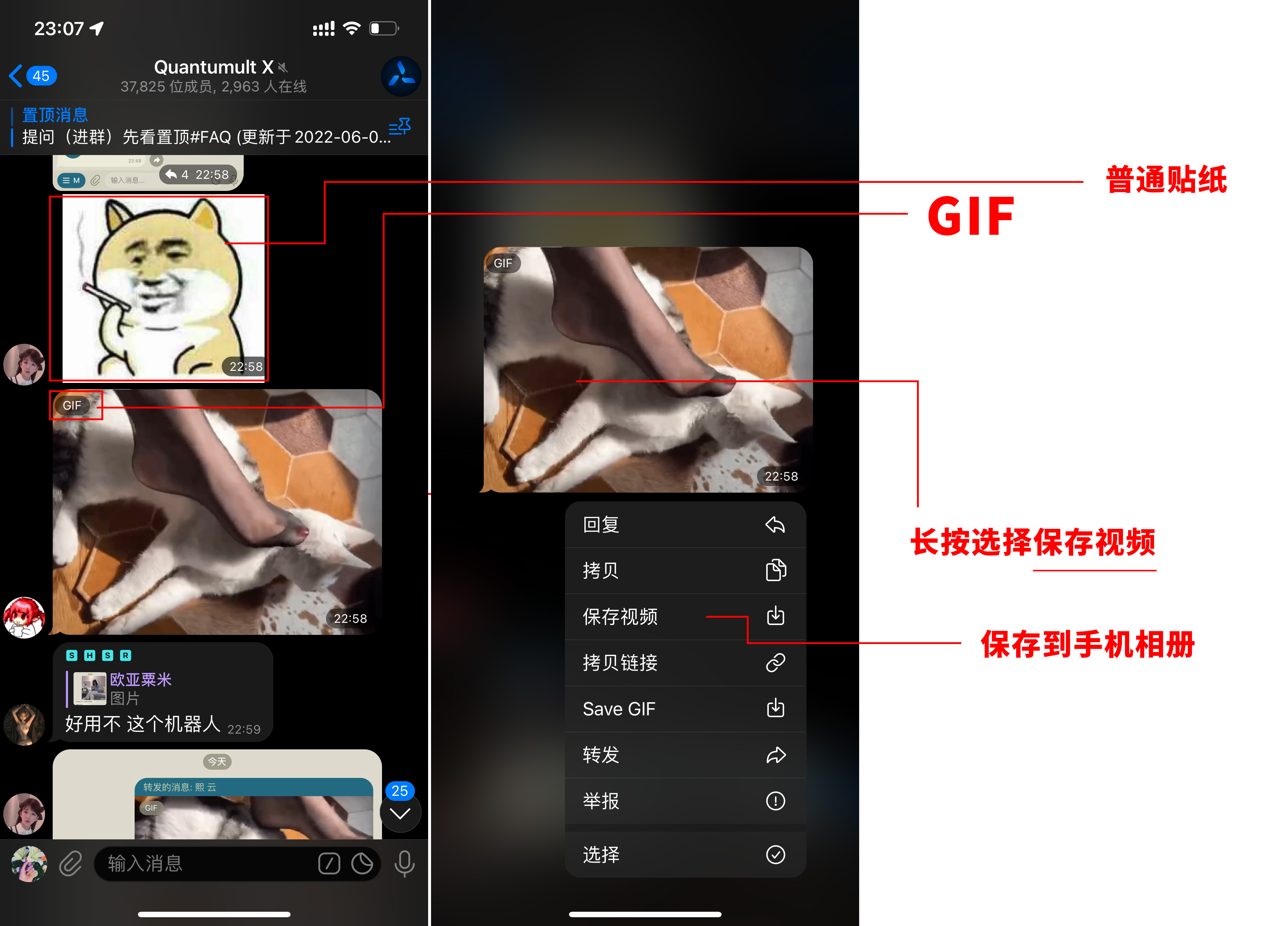 保存电报GIF转视频转GIF.jpg