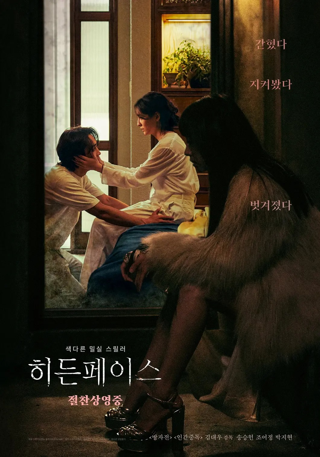 隐藏的面孔 히든 페이스.jpg